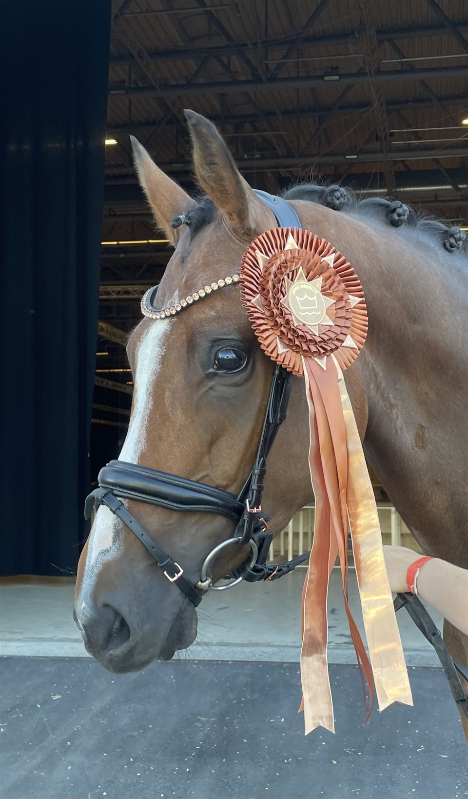 Sanadu viser sig stolt frem med hendes roset