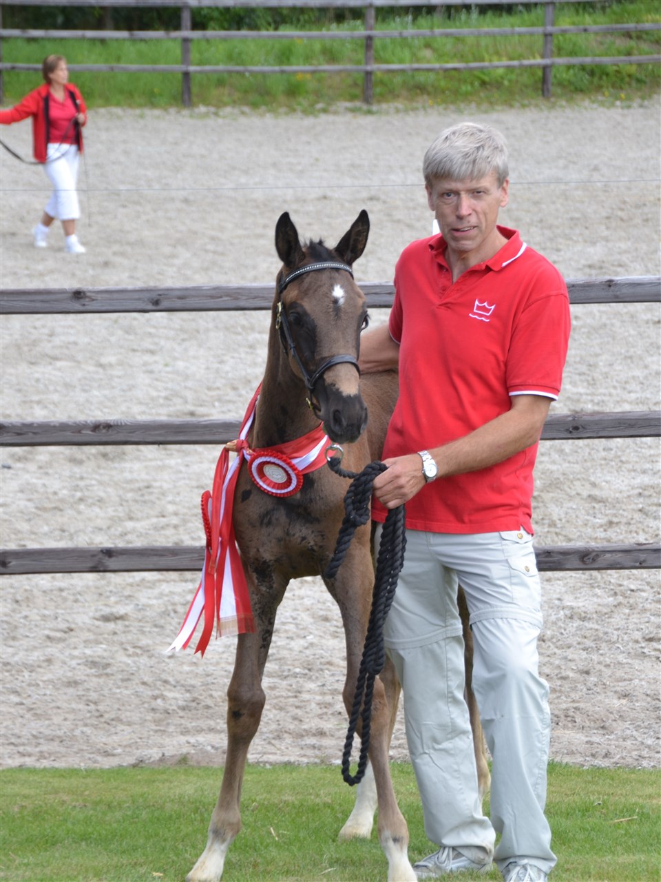 Selma blev ved følskuet bedste dressurbetonede hoppeføl
