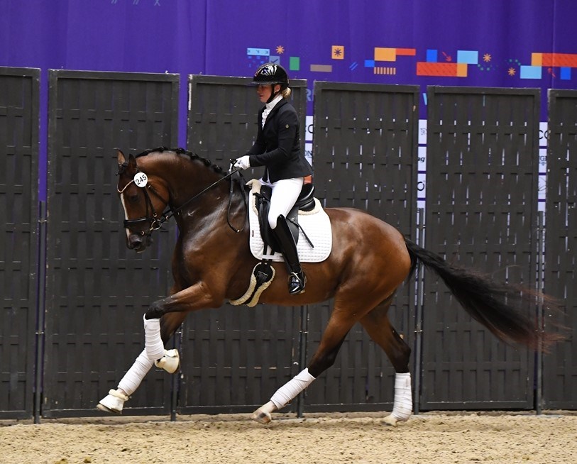 Sanadu tildelt bronzemedalje på eliteskuet 2022