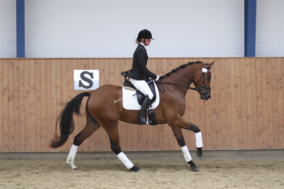 Savannah trænes før kåringen