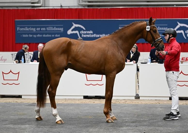Strandagergårds Mc Cloud vist på fast bund