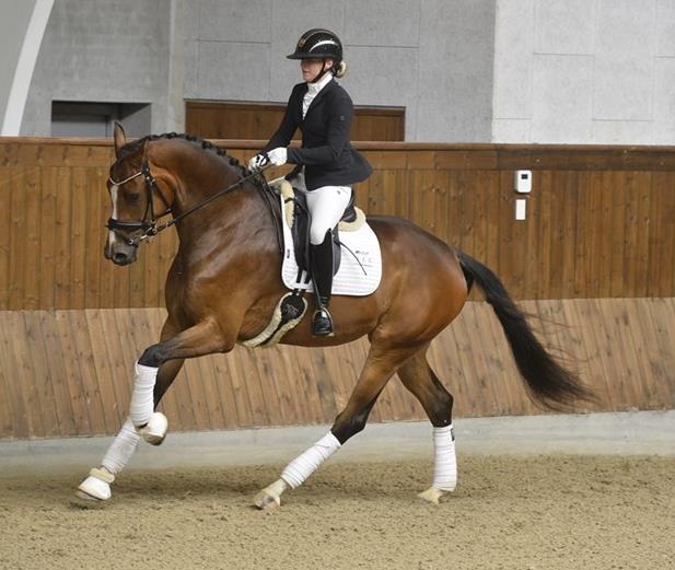 Annabell ridder Sanadu til udtagelse til eliteskue