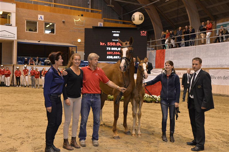 2014 DV Eliteskue Vilhelmsborg Elitefølauktion - STRANDAGERGÅRDS SCIROCCO solgt til Kristin Andresen