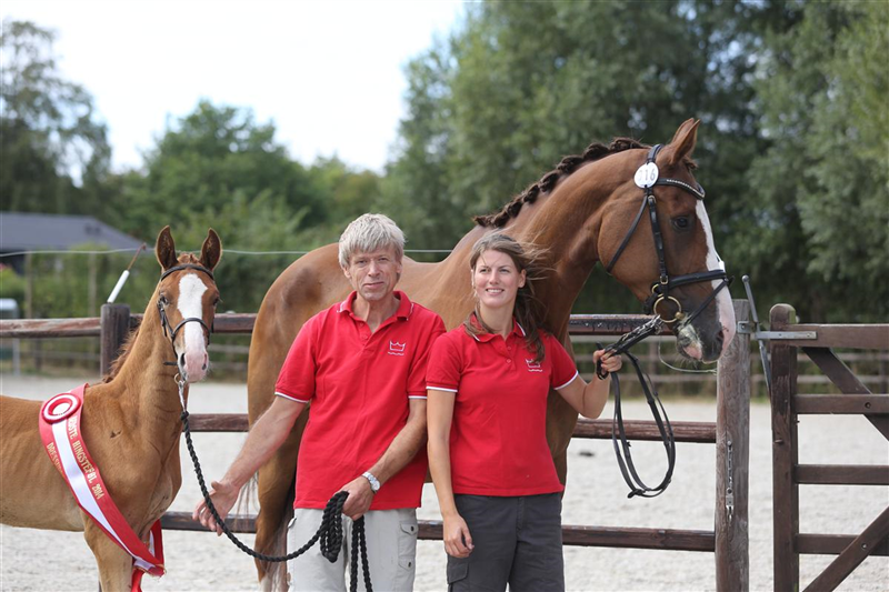 2014 DV Følskue Region 3 Stutteri Ask - STRANDAGERGÅRDS SCIROCCO