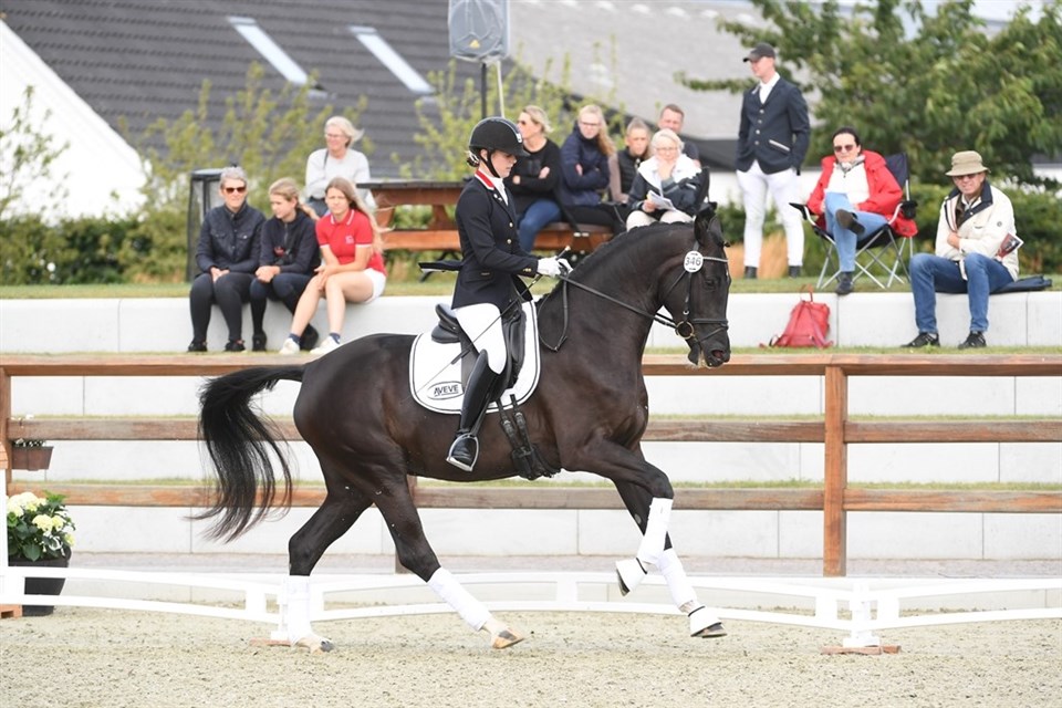 Selma i galop til kåringen