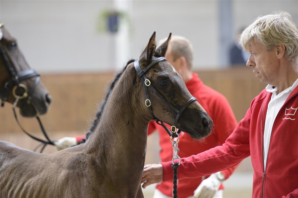 Sandie stiller sig op fra sin smukke side